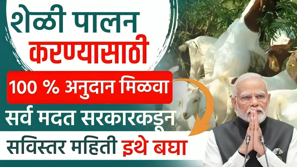 100% Subsidy Scheme