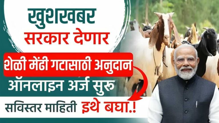 sheli Mendhi Vatap