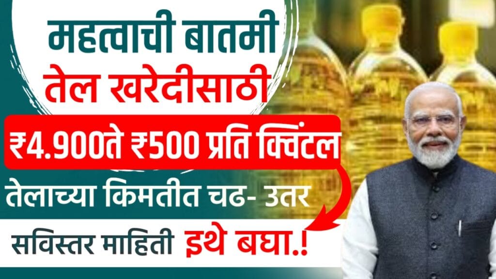 edible oil