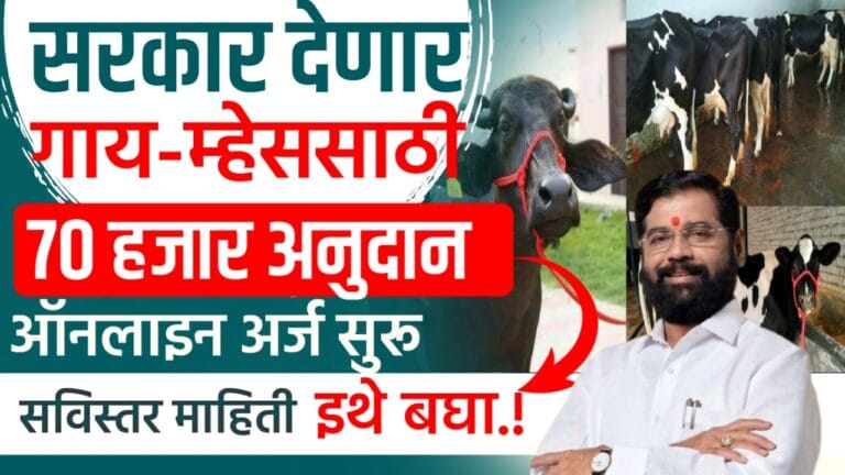 Navinya purna yojana